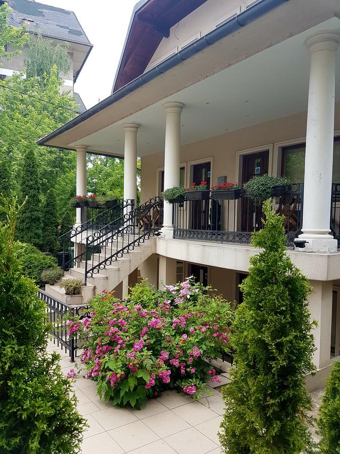 Zupan Apartmani Soko Banja Exterior photo